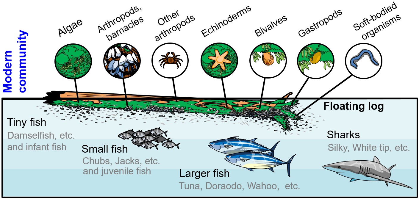 Diagram

Description automatically generated