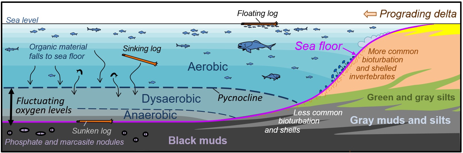 A picture containing diagram

Description automatically generated