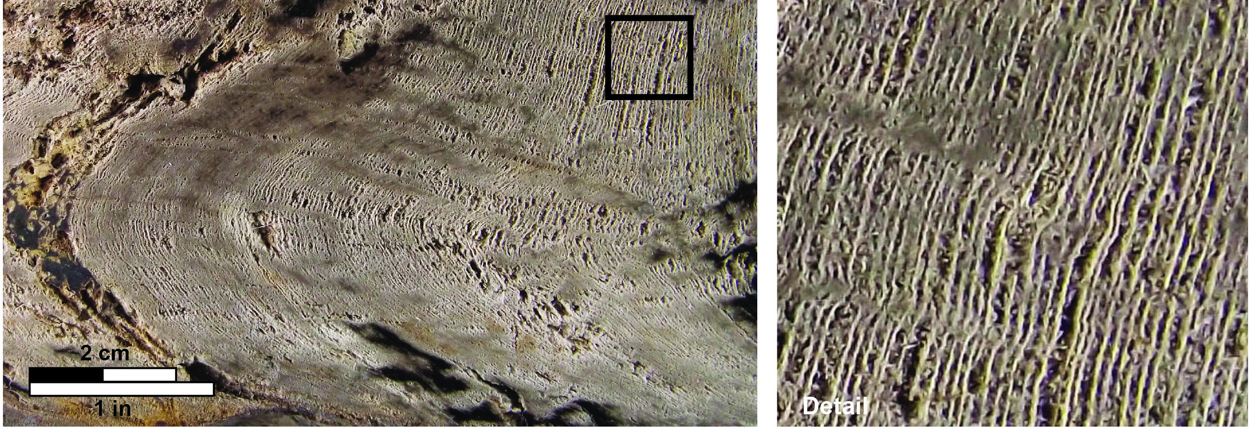 A picture containing ground, building material, stone

Description automatically generated