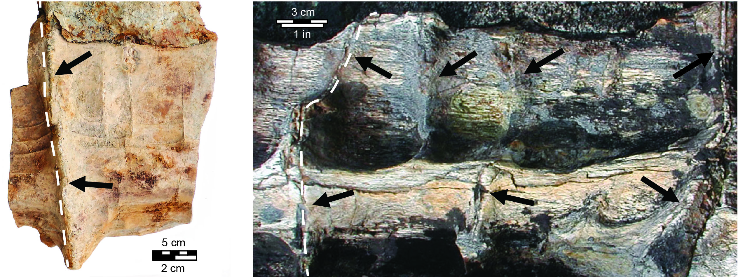 A picture containing text, rock, outdoor, stone

Description automatically generated