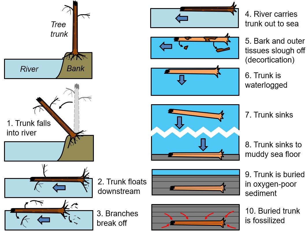 Diagram

Description automatically generated