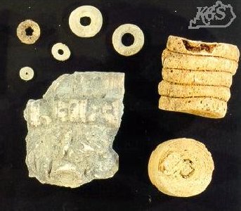Crinoids