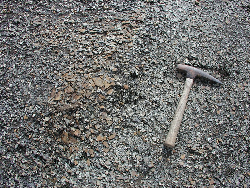 Black shale outcrops and pyrite-heaving sulfates, Madison and Estill Counties