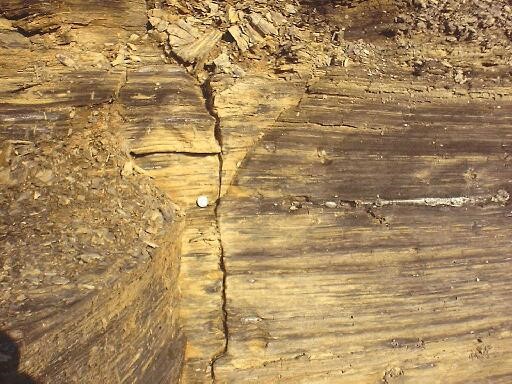 Black shale outcrops and pyrite-heaving sulfates, Madison and Estill Counties.
