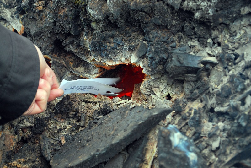 Black Shale Fires