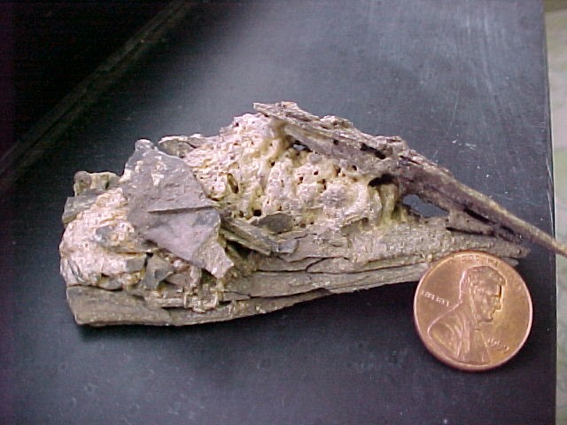 Condemned home in Berea, Ky., and expansive sulfate minerals in black shale.